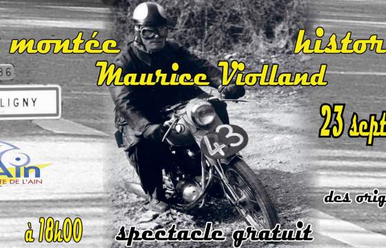 12<sup>e</sup> Montée Historique Maurice Violland, Coligny (01)